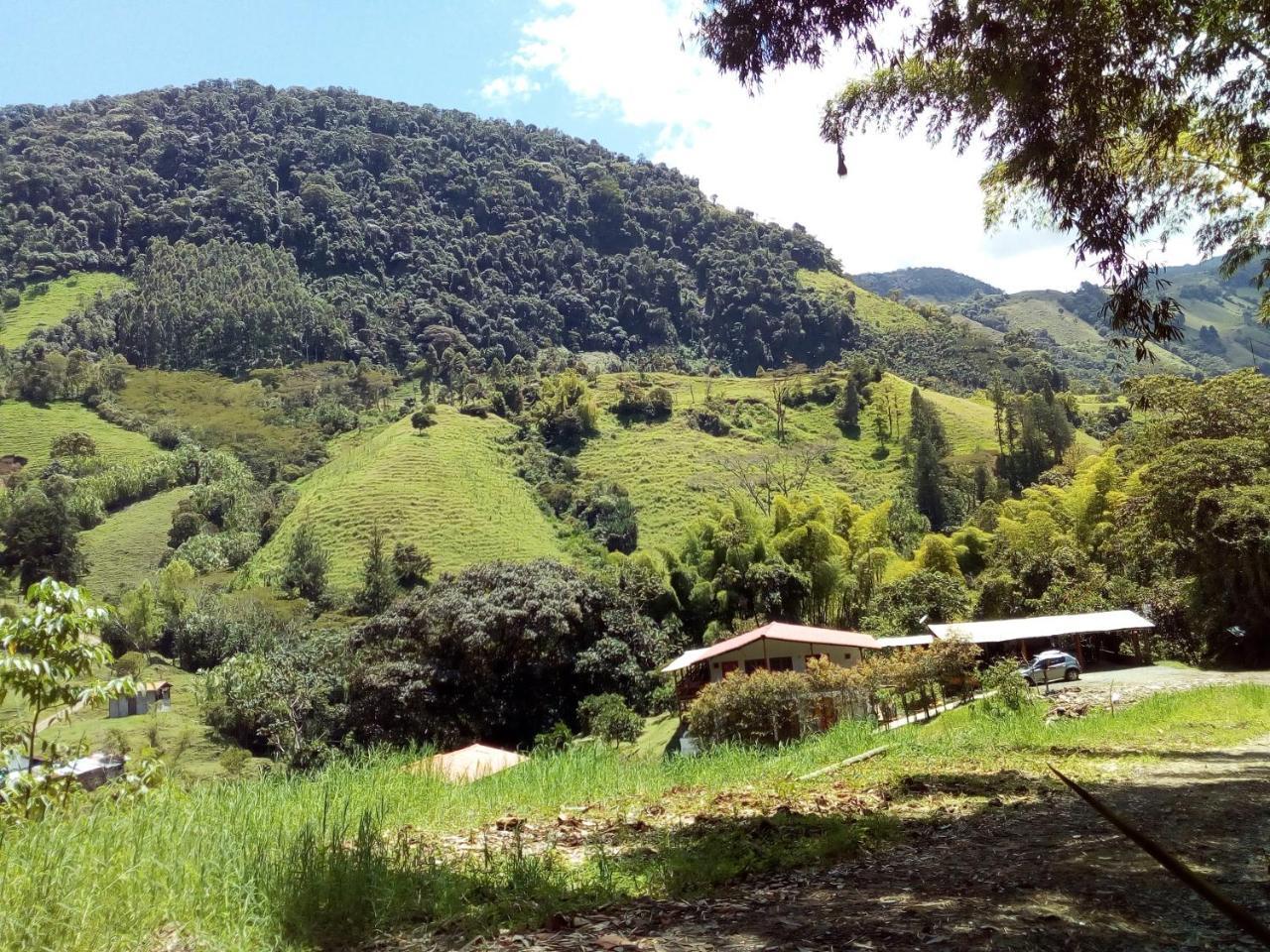 Encanto La Salada * Jardín
